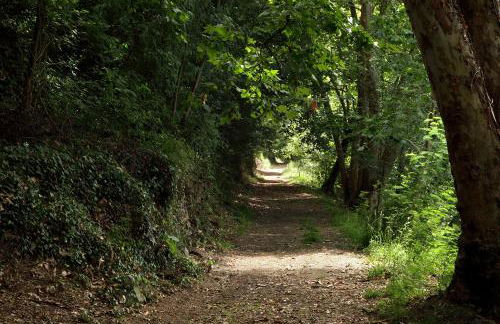 Casa da Eira - Foto 24