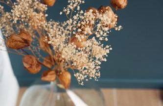 L'abri de Saint-Germain, between lake and mountains - Foto 6