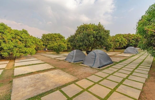 Q Mango Resort - Foto 9