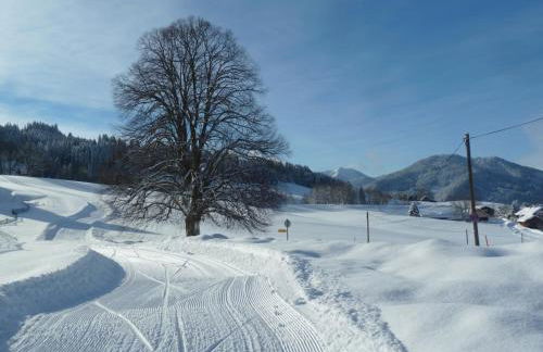 Ferienwohnung Hörnle - Foto 6