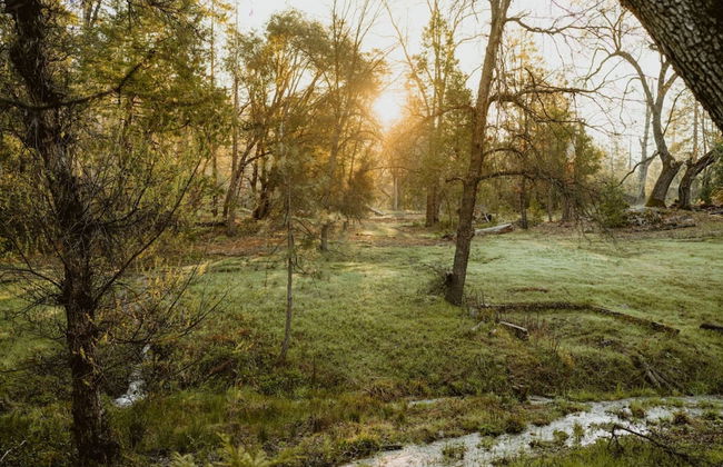 Luxury Nature Getaway Stone House by Casa Oso - Foto 9