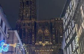 Robertsau, jardin en ville - Foto 23