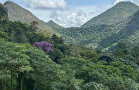 Villa Zarandi - Luxo e conforto que você procura! - Foto 49