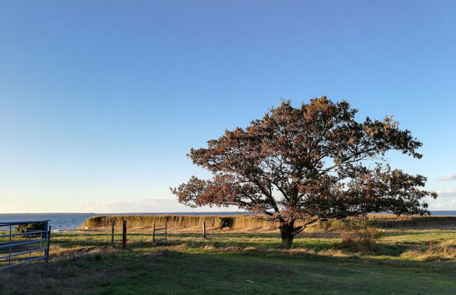 10 Person Holiday Home in Stege - Foto 13