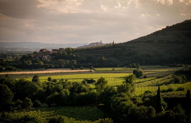 Farmhouse in Tuscany With Panoramic Pool - Photo 36