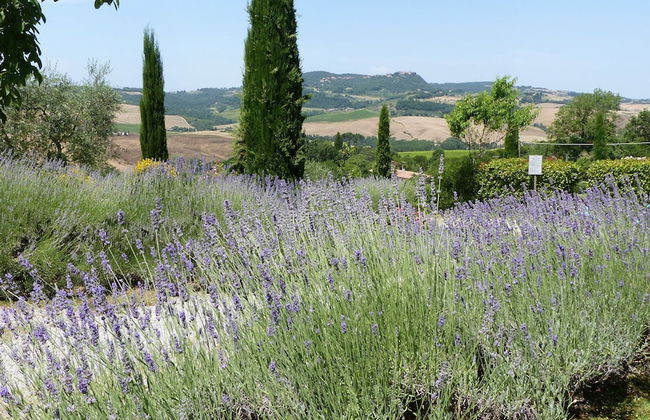 Podere Poggio al Sole - Foto 31