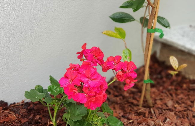 Apartamento À Francos Metro 2 - Foto 16