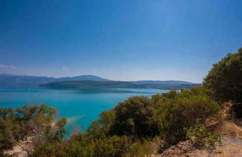 Salamandre - Foto 20