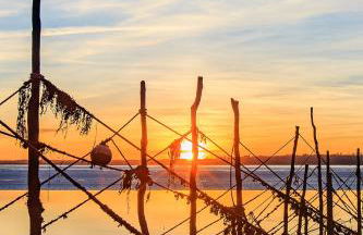 Kelpies Cottage - Foto 16