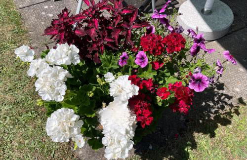 Ferienwohnung Beyer Friedrichroda - Foto 22