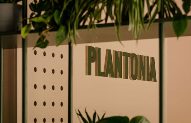 Plantonia - Foto 7