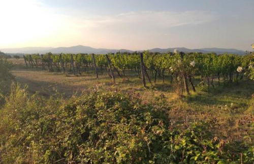 Allie's flat - Foto 10