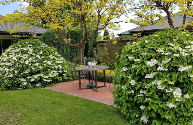 Marchmont Gardens - Photo 48