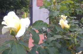 Agriturismo Pettinari - Foto 39