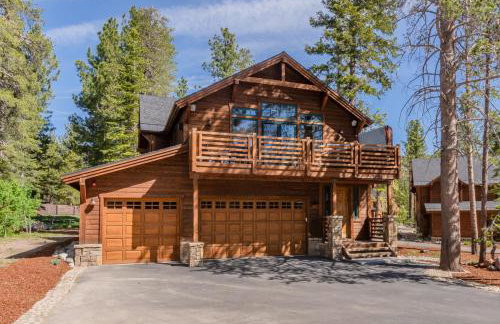 Gray Bear 514 - Foto 29