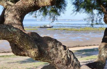 Villa Petit-Père - à 400m de la plage - Photo 20