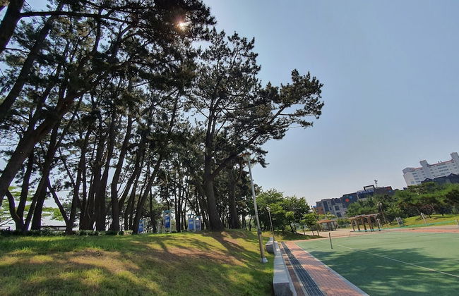 Haha Pension - Foto 55