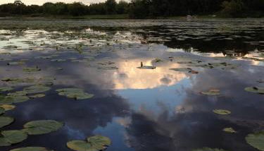 Secluded Lake Retreat - Private Beach, Pier & Fire Pit - Photo 2