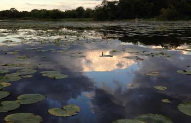 Secluded Lake Retreat - Private Beach, Pier & Fire Pit - Photo 2