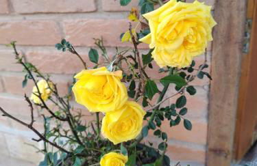 Chalé Vale das Flores - Visconde de Mauá Rj - Photo 14