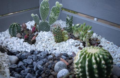 -Casa Relax con giardino- wi-fi Aria condizionata Parcheggio - Foto 27