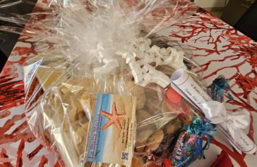 La Stella Marina - Foto 32