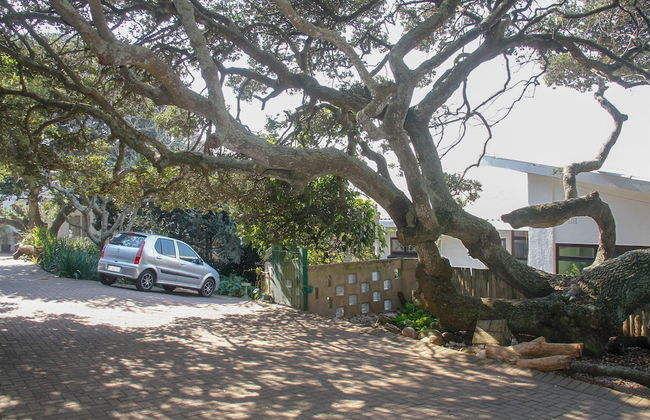 Carpe Diem - Photo 57