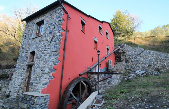 Ciliegiolo - Foto 29