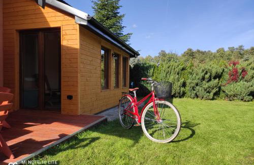 Miły Domek Sasino - Foto 10