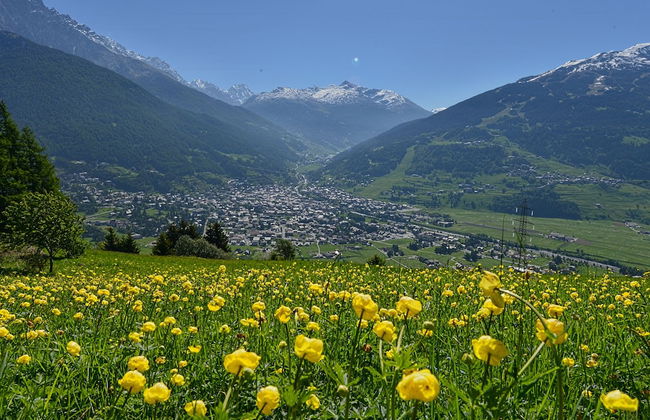 Holiday House Erika - Photo 17