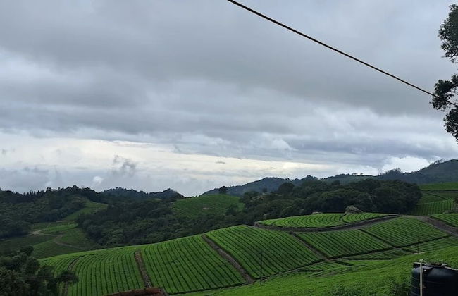 Wattle Grove Resort - Foto 63