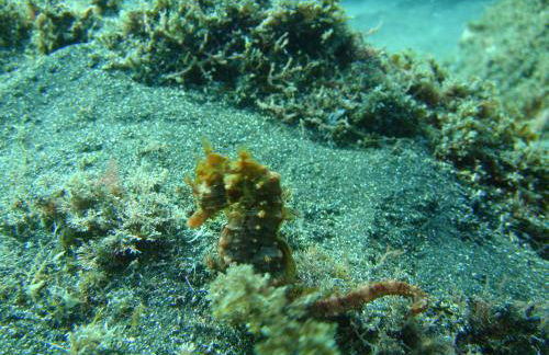 Quinta Da Ribeira Da Urze - Photo 30