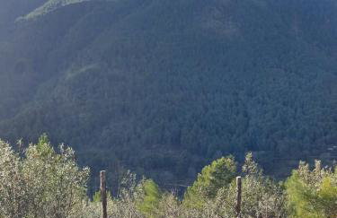La cerra -Tiny-house - Photo 43