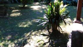 Casa de campo na praia - Foto 3