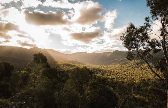 Canberra Wildlife Watching Tour - Photo 4