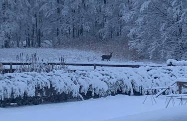 Wysokie Łąki domki w górach - Foto 64