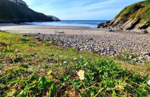 Preciosa Casa de Campo + Playa + Jardín + Mascotas - Foto 19