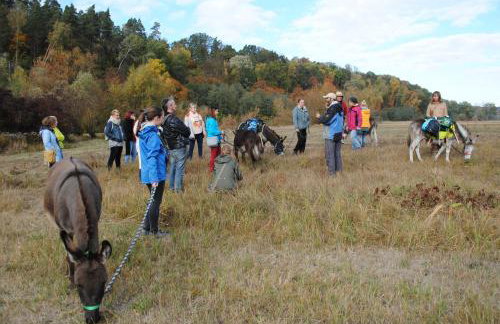 Toskania Kociewska - Photo 45