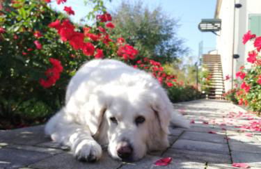 Casa Vacanze Angelica - Foto 31