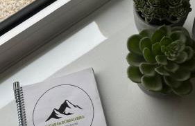 Lugar da Borralheira - Foto 11