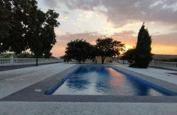 Finca Cortés - Foto 23