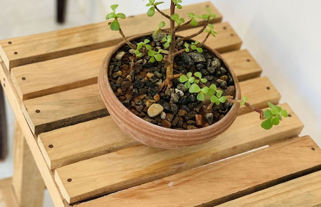 MICHS Beach Villa - Maggona - Foto 8