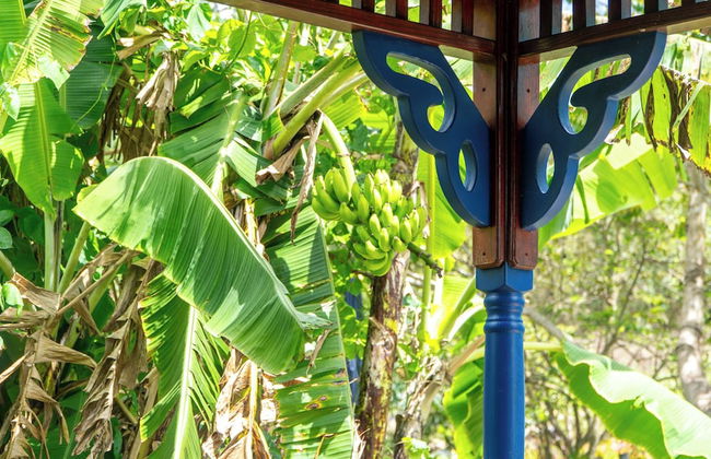 LambLion Holiday Apartments - Photo 64