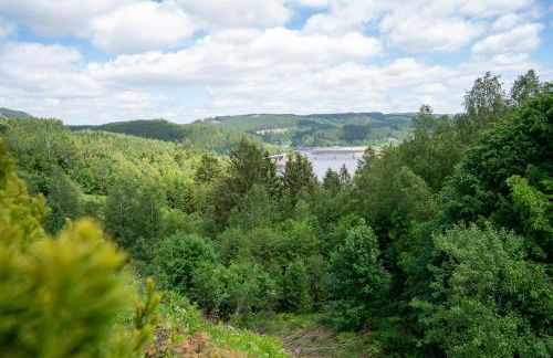 FeWo Harzer Wiesenberg, bis zu 2 Hunde willkommen! - Foto 32