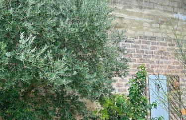 LaPetite Maison Abigail, Peaceful home in Avignon - Photo 40