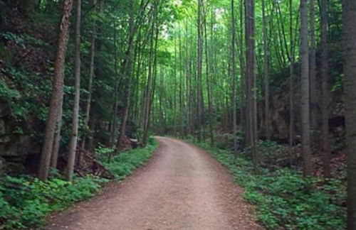 Stay In Ohiopyle near the GAP Trail - Ohiopyle, PA - Foto 40