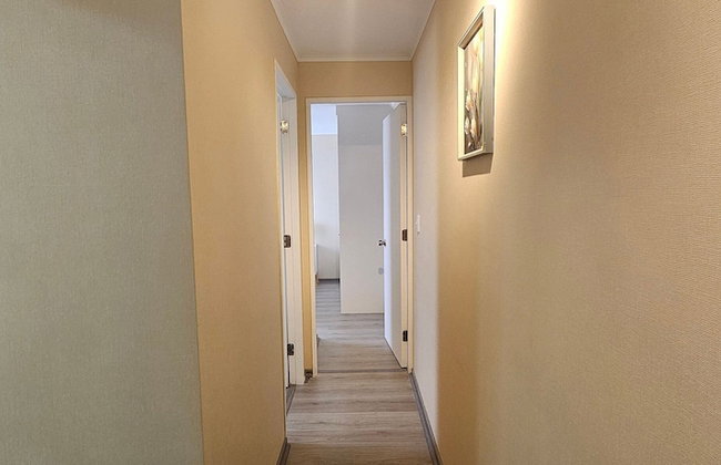 Oceana Suites Volcán Villarrica - Foto 38