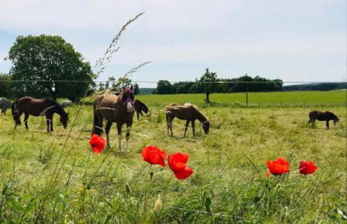 Ferienhof Pfeiffer - Foto 27