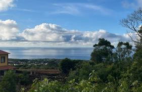 Biscoitos Top View - Photo 11