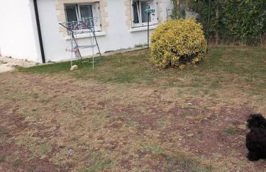 Petite maison avec jardin privé - Photo 10